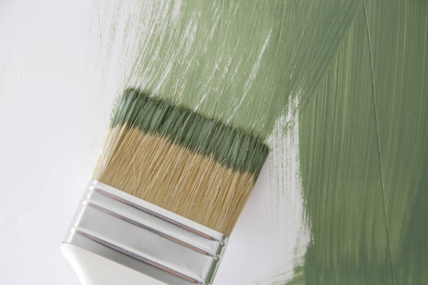 Best Black Mold Removal  in Terrell, TX