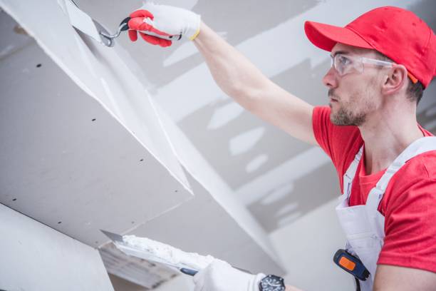 Best Mold Remediation for Healthcare Facilities  in Terrell, TX
